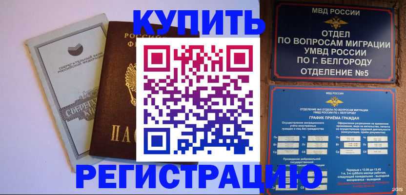 временная прописка в Оленегорске